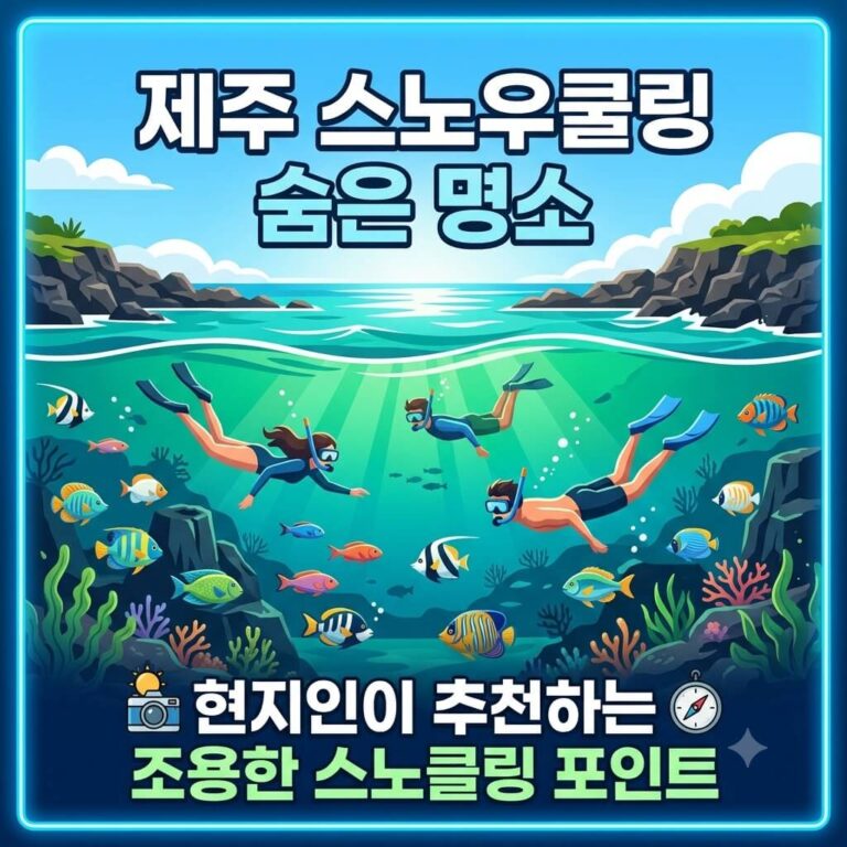 제주 스노우쿨링 숨은 명소 추천｜현지인이 찾는 조용한 스노클링 포인트 총정리